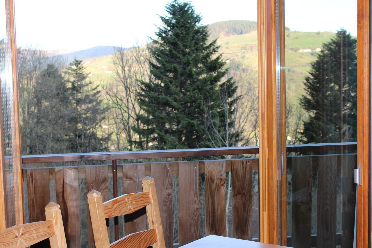 Chalet Les Bouleaux, La Montagne Des Lamas Ла-Бресс Экстерьер фото